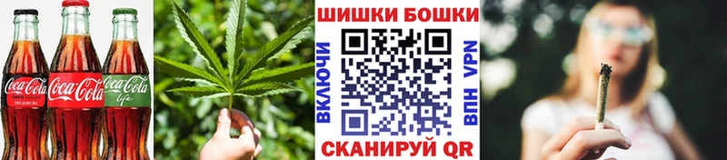 Купить где  Судак  Canna-Cookies конопля 