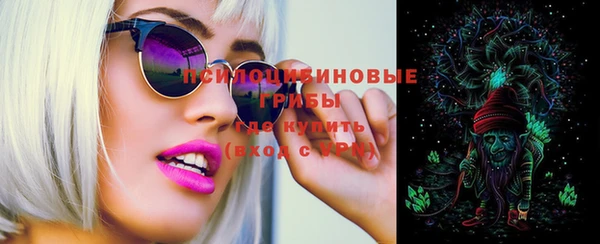 Альфа ПВП Костерёво