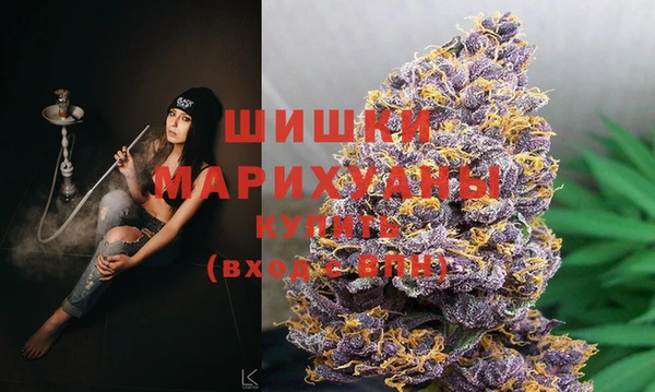 круглые Корсаков