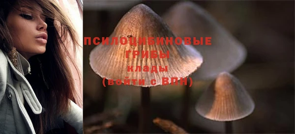 круглые Корсаков