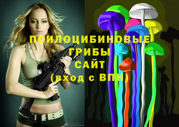круглые Корсаков