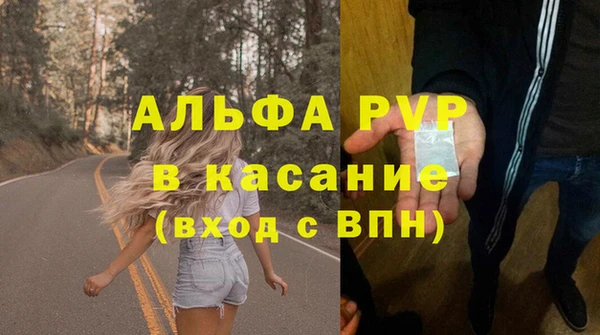 круглые Корсаков