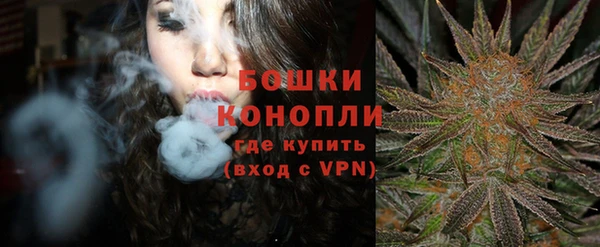 Альфа ПВП Костерёво
