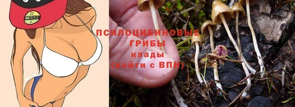 круглые Корсаков
